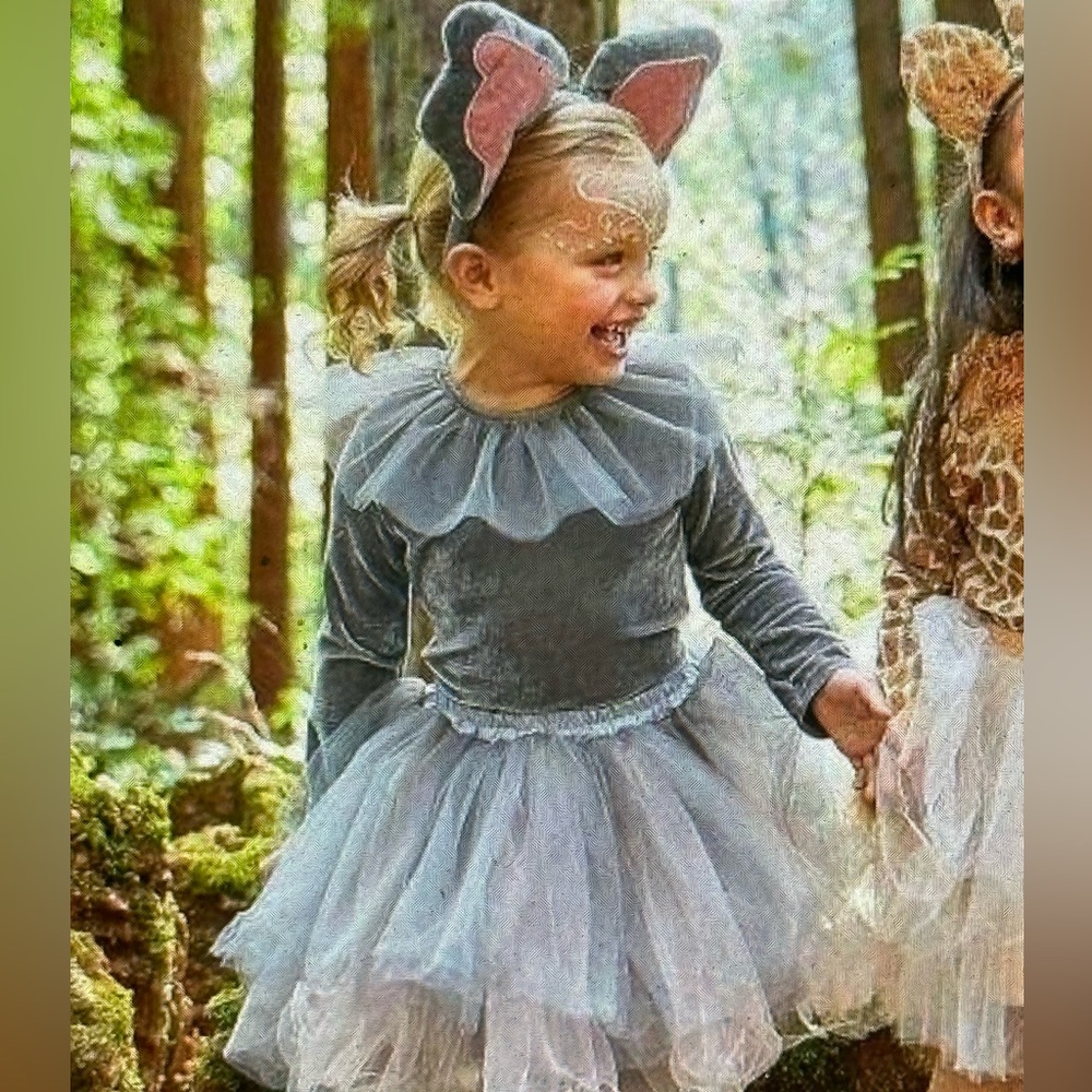 Pottery Barn Kids ELEPHANT TUTU Costume 4-6 Halloween 3 Pc Skirt Top Headband